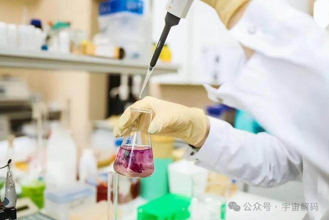 30个鲜为人知的事实冷门知识大盘点(图6)