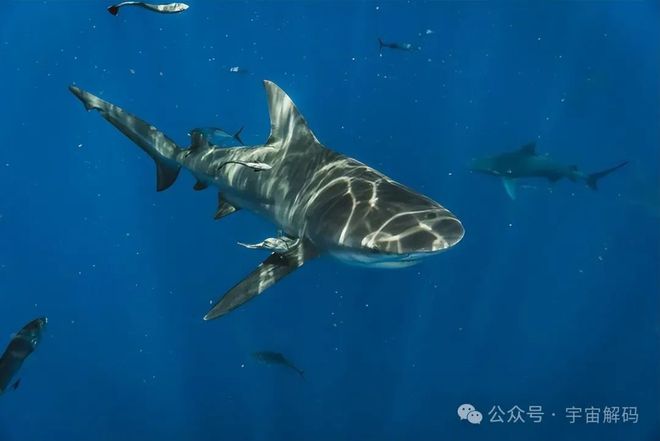 30个鲜为人知的事实冷门知识大盘点(图4)