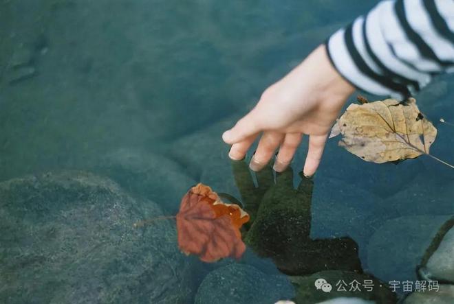 30个鲜为人知的事实冷门知识大盘点(图8)