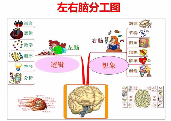 世界记忆冠军亲kaiyun开云·官方网站授:36节高效学习记忆力课程让你拥有最强大脑(图4)