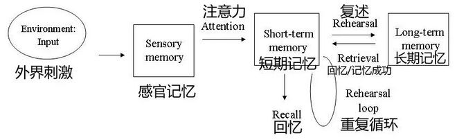 kaiyun官网开云《最强大脑》线%的人都被骗了:这个教育骗局正在毁掉你的孩子!(图1)
